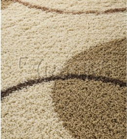Високоворсний килим Shaggy 1051-30122